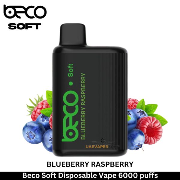 Beco Soft Disposable Vape Blueberry Raspberry 6000 puffs - Uaevapershop in UAE