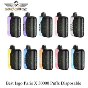 Isgo Paris X 30000 Puffs