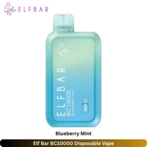 Elf Bar BC10000 Blueberry Mint Disposable Vape