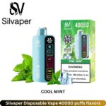 Silvaper Cool Mint Disposable Vape 40000 puffs flavors