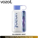 Vozol 40000 Puffs Blueberry Mint Flavors Star Series