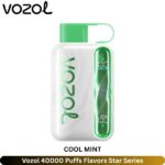 Vozol Cool Mint 40000 Puffs Flavors Star Series