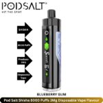 Pod Salt Shisha 8000 Puffs 3Mg Blueberry Gum