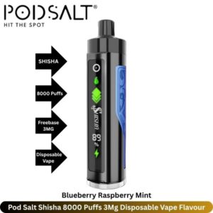 Pod Salt Shisha 8000 Puffs 3Mg Blueberry Raspberry Mint