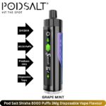 Pod Salt Shisha 8000 Puffs 3Mg Grape Mint