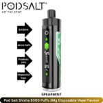 Pod Salt Shisha 8000 Puffs 3Mg Spearmint
