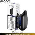 Flonq Max Disposable Vape 8000 Puffs Blackberry Mint