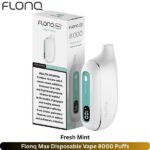 Flonq Max Disposable Vape 8000 Puffs Fresh Mint
