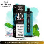 Al Fakher 40000 Puffs Flavors Gum Mint Disposable Vape