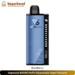 Vapesoul 40000 Puffs Disposable Vape Flavours BlueBerry