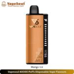 Vapesoul 40000 Puffs Disposable Vape Flavours Mango Ice