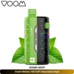 Voom Meteor 70k Puff Disposable Vape Miamii Mint