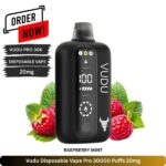 Vudu Disposable Vape Pro 30000 Puffs Raspberry Mint