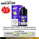 Nasty Burst E liquid Flavours List 30ml Grape Ice Salt Nic