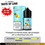 Nasty Burst E liquid Flavours List 30ml Pineapple Ice Salt Nic