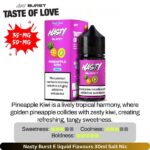 Nasty Burst E liquid Flavours List 30ml Pineapple Kiwi Salt Nic