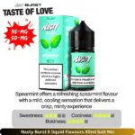 Nasty Burst E liquid Flavours List 30ml Spearmint Salt Nic